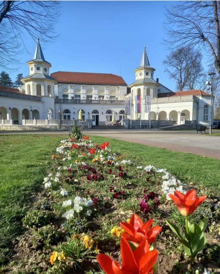 Apartman Moka Banja Koviljaca Exterior photo